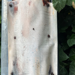 can you? feat. kayro