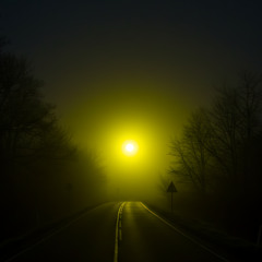 lonely without a reason