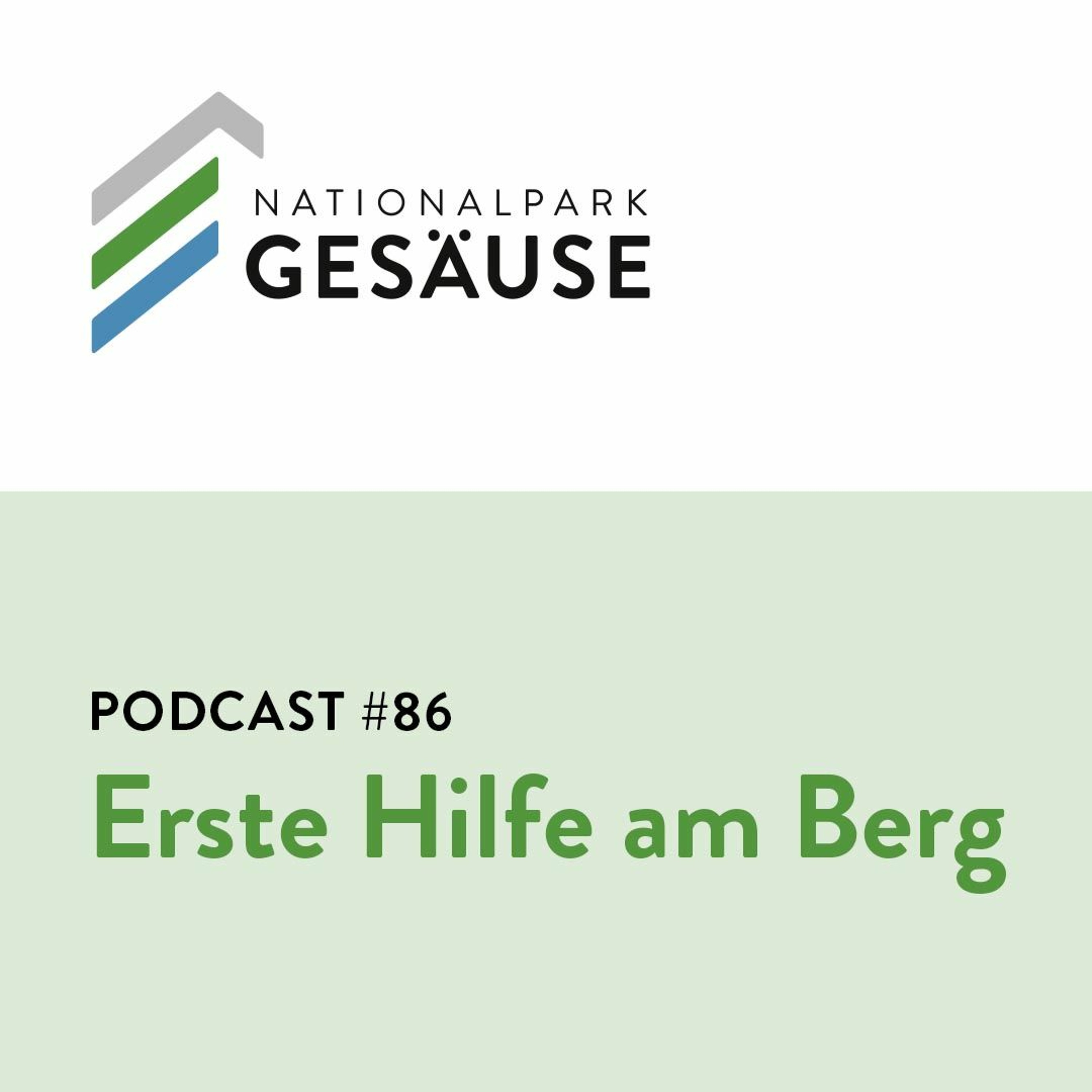 Podcast #86 - Erste Hilfe am Berg episode artwork