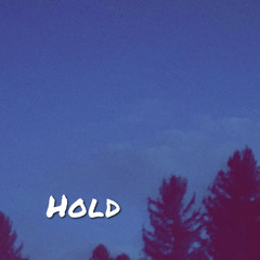 Hold feat. Blaize Trulson