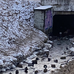 River Flows (iphone record)