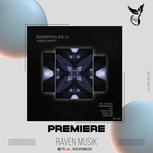PREMIERE: HunterSynth - Reborn (Extended Mix) [Polyptych Noir]