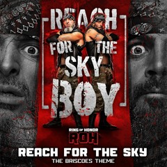 Reach For The Sky Boy- The Briscoes ROH/AEW Theme