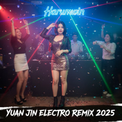 刘德华 - 缘尽 (Yuan Jin) Electro Remix 2025 | Harumwin