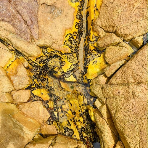 LOOP 7 - Warehouse Techno