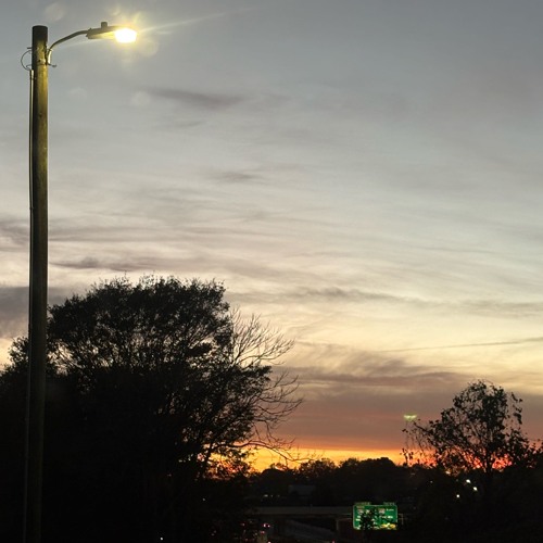 senseless (under the maple tree)