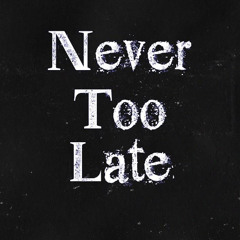 NEVER TO LATE - B.I.G FRXNK
