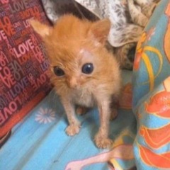 u were in the background, i was in the front (remaster)