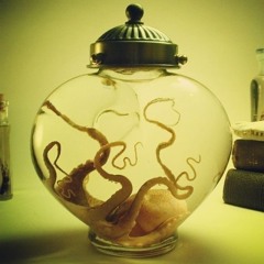 push bubble mix fasonów ośmiornica