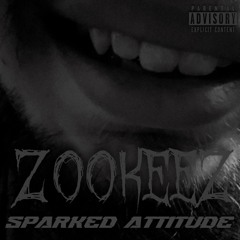Z00KEEZ ~ Sparked Attitude (Beat Only)
