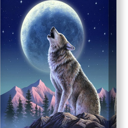 Riding on the darkside of the moon with Moonwolf 173