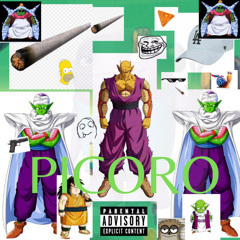PICORO