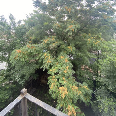 thirteenth of july 2023 mix