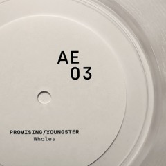 Promising/Youngster | AE-03 | 8" Vinyl | Snippet