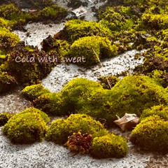 Cold with sweat