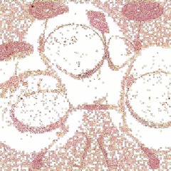 Double Time Cozy Lofi Ft. JNKYRDZ