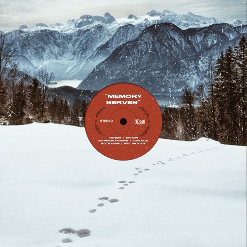 Memory Serves (Instrumental) [feat. Terem]