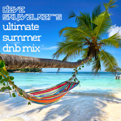 Dave Skywalker's Ultimate Summer DNB Mix! [Free Download]