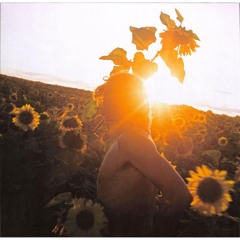 Eversines - Achterna