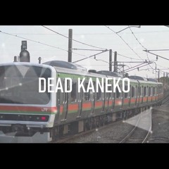 DEAD KANEKO