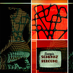 Schranz Rebound - Podcast