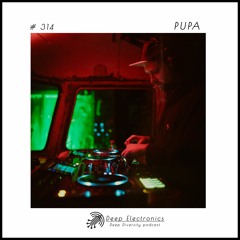 Deep Electronics # 314 - PUPA
