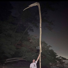BIG STICK