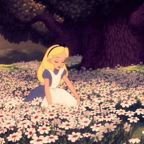 Alice In The Wonderland