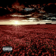 wish u would prod wrldvoid