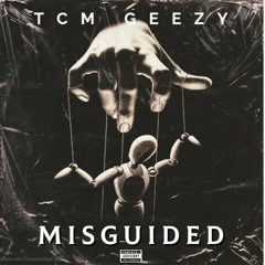 MISGUIDED