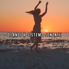 DJ Andi X Sistem - Senzatii (Mashup)