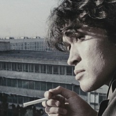 Виктор Цой - Муравейник | Viktor Tsoi - Anthill (Slowed Instrumental)