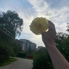 спокойнично