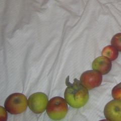 Sens inverse (Attention le tapis prend feuuu)