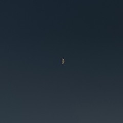 Танцы Под Луной