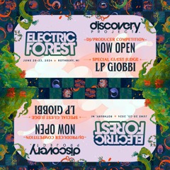Matt Diamond - Discovery Project: Electric Forest 2024