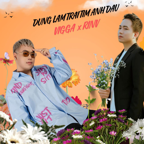 Đừng Làm Trái Tim Anh Đau - Vigga x RinV Remix