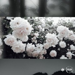 POLITIK feat parei prod hatewonfr