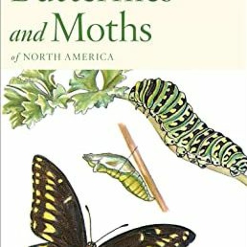 Stream View PDF Peterson First Guide To Butterflies And Moths by Paul A