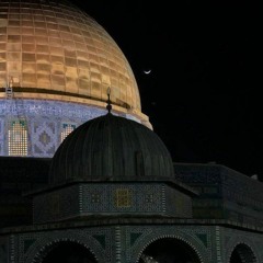 إلـيـك وإلا لا تُشدُّ الرَّكائب