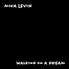 Empire Of The Sun - Walking On A Dream (Mika Levin Remix)