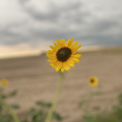 2 late (prod. KINGXMAGS)