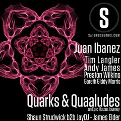 Quarks & Quaaludes Boxing Day Show - Giddy Guest Mix