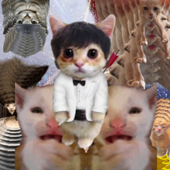 FAST DANCING IN JOJAMART (SLOW DANCING IN THE DARK - Joji, remix)