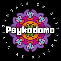 PsyKodomo after party project 2024 live set