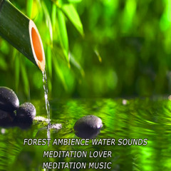 Forest Ambience Water Sounds