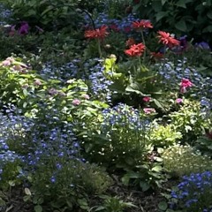 vet prod 1babysiahh 1nicksxlo