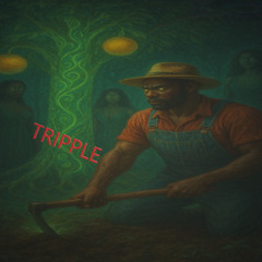 Tripple D Farmer