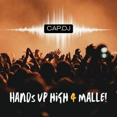 03. Cap DJ - Hands up high for Malle! snipped)