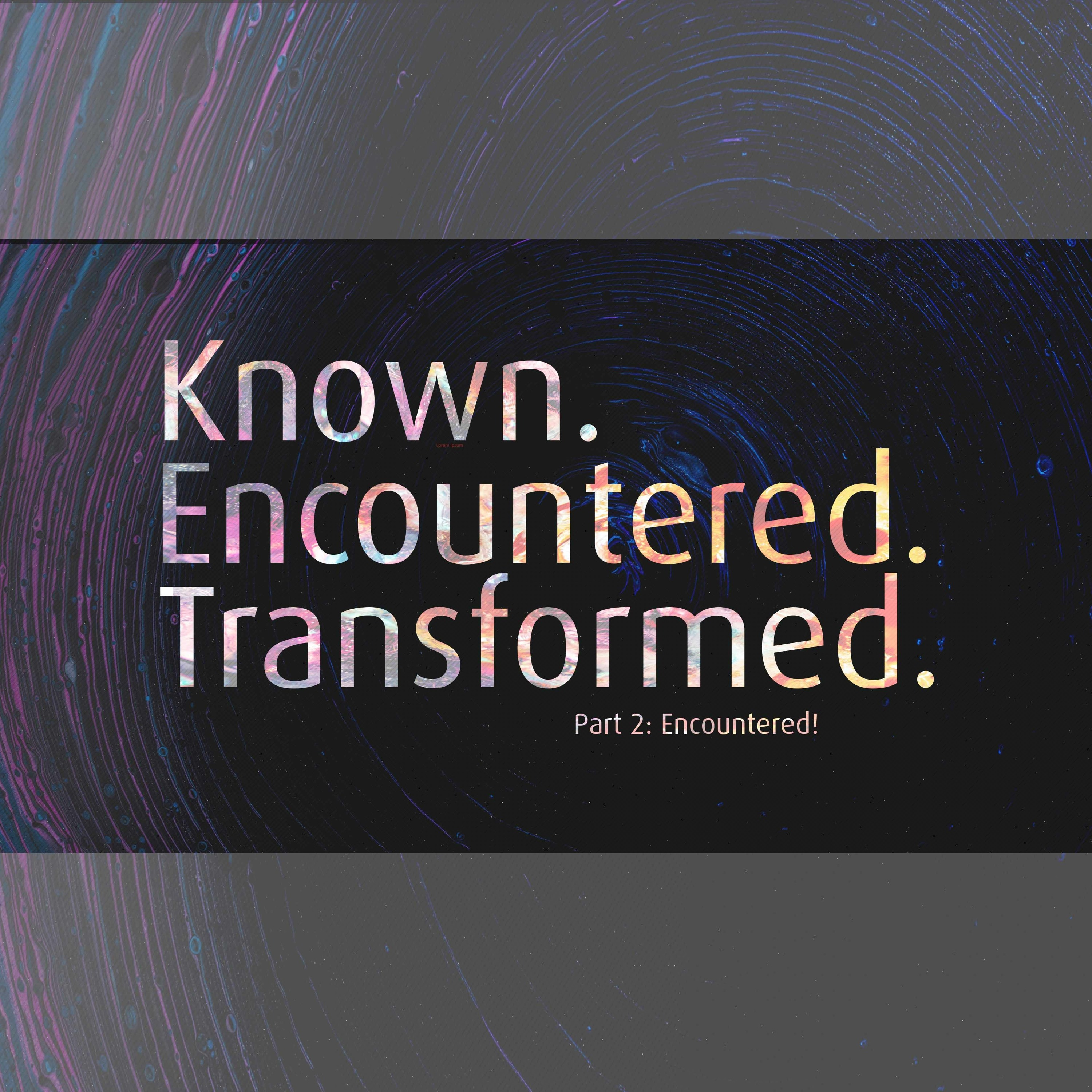 Part 2: Encountered! episode artwork